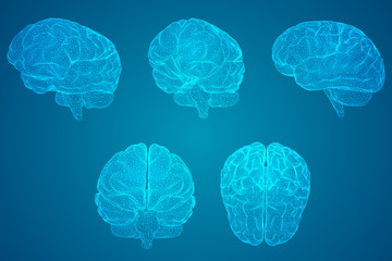 石蒜科花卉有哪些种类（常见石蒜科植物大全）