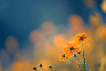 日常生活中如何利用好金融杠杆_1