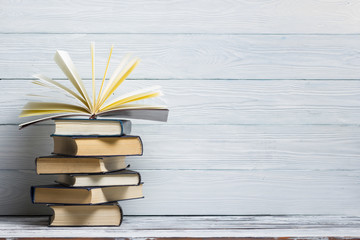 鲁滨逊漂流记主要内容20字左右