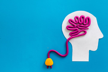 石蒜科花卉有哪些种类（常见石蒜科植物大全）