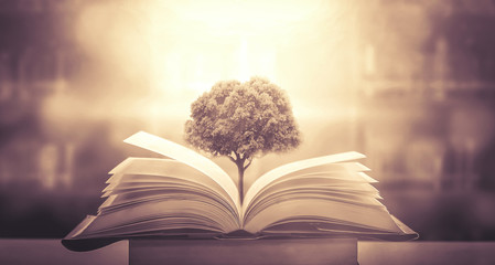 简述园林树木配植的原则和配植的方式