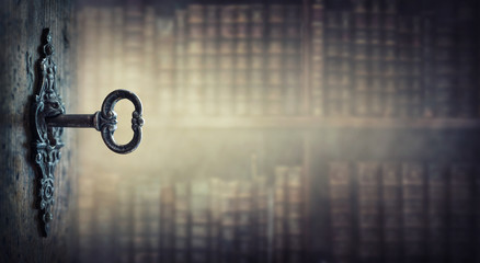 鲁滨逊漂流记主要内容20字左右