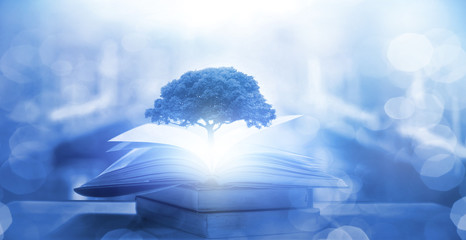 鲁滨逊漂流记主要内容20字左右