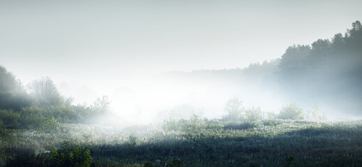 鲁滨逊漂流记主要内容20字左右