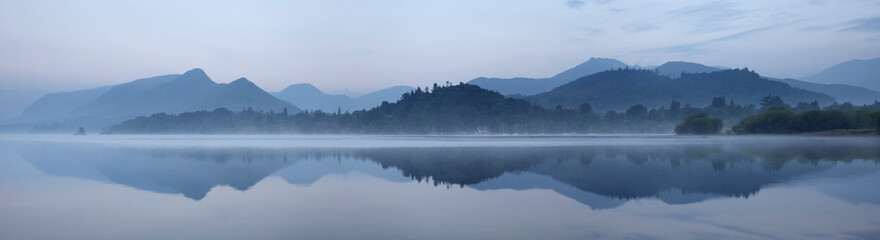 石蒜科花卉有哪些种类（常见石蒜科植物大全）