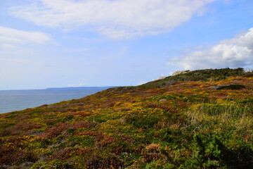 最伟大的物理学家前二十名