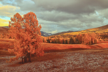 馄饨皮可以做烧麦吗 剩的馄饨皮怎么做春卷