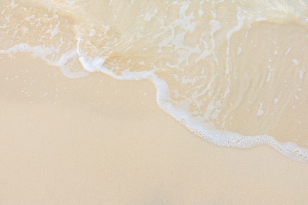 鲁滨逊漂流记主要内容20字左右