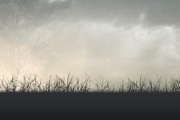 最伟大的物理学家前二十名