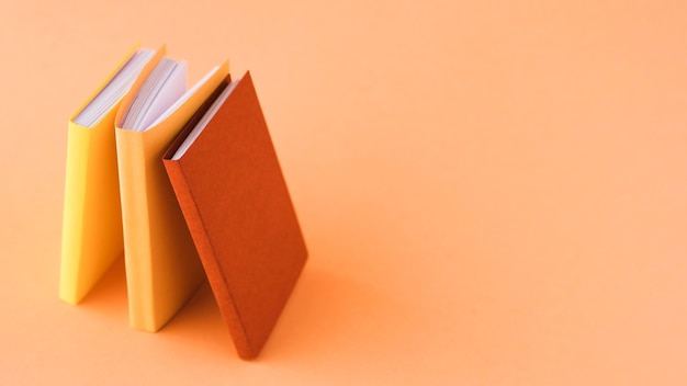 鲁滨逊漂流记主要内容20字左右