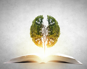 最伟大的物理学家前二十名