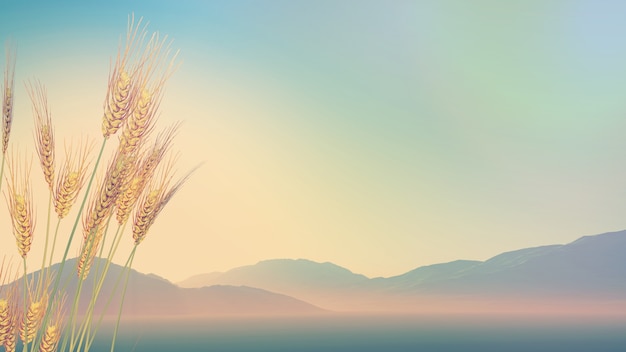 鲁滨逊漂流记主要内容20字左右