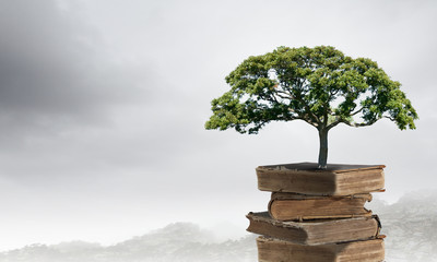 日常生活中如何利用好金融杠杆_1