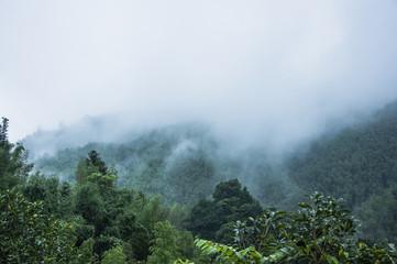 王者荣耀法术穿透作用是什么？